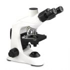 Microscopio